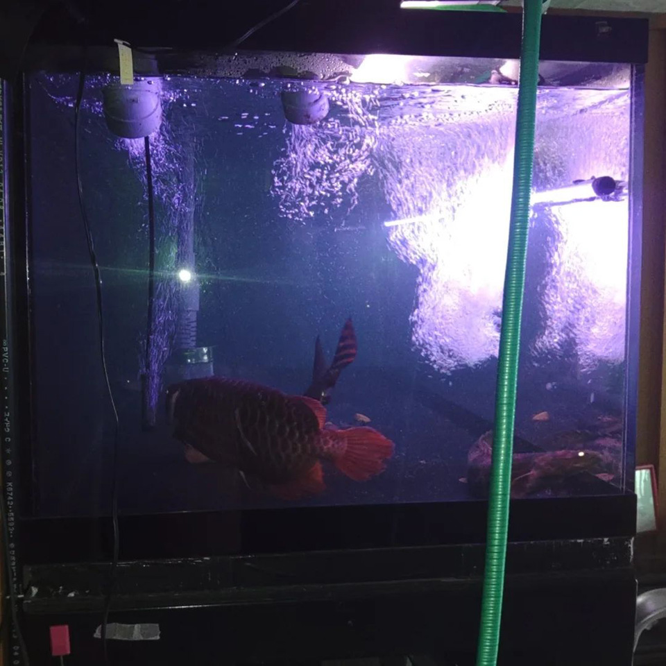 288048405_5026982530745374_.jpg 288048405_5026982530745374_.jpg