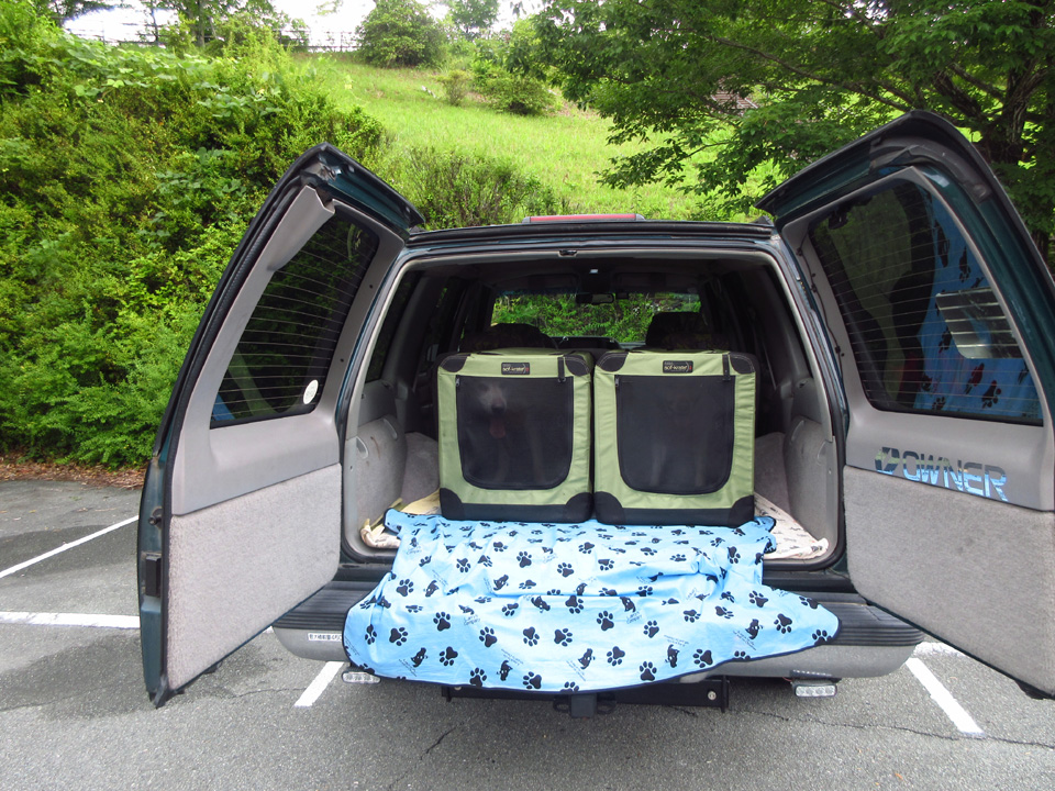 IMG_2227.jpg IMG_2227.jpg