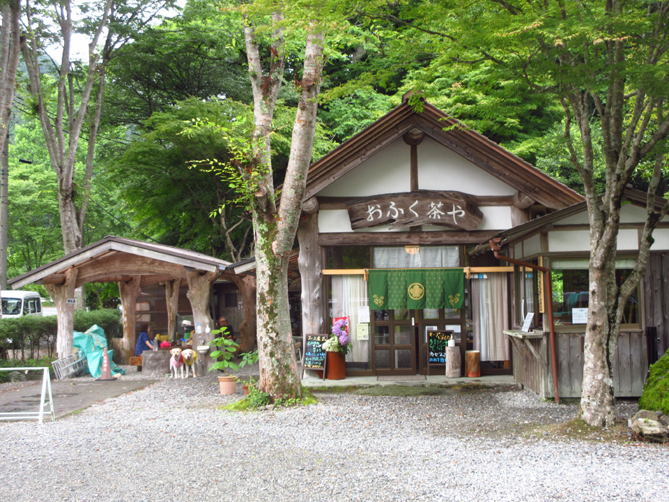 IMG_2229.jpg IMG_2229.jpg