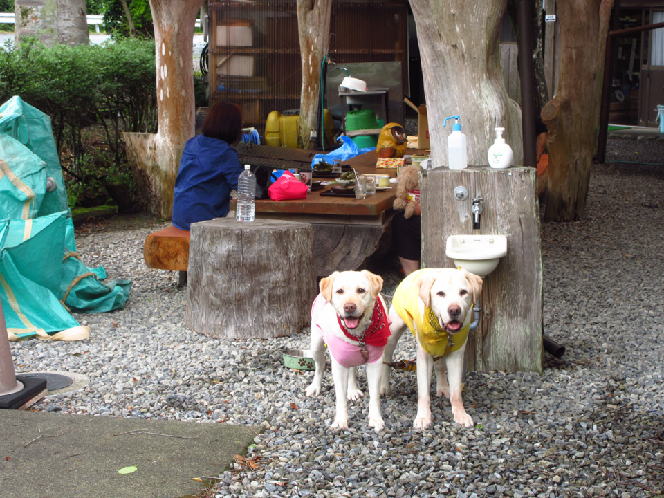 IMG_2232.jpg IMG_2232.jpg