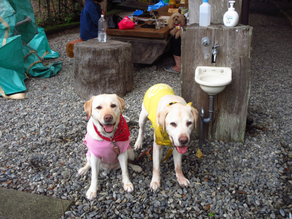 IMG_2233.jpg IMG_2233.jpg