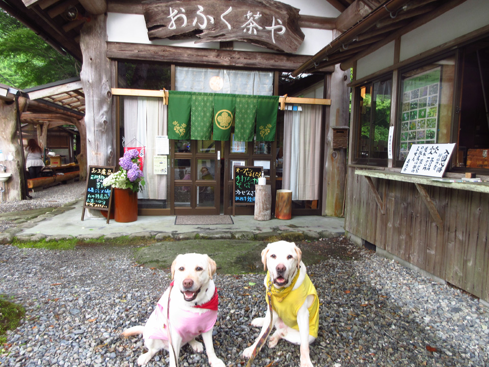 IMG_2235.jpg IMG_2235.jpg