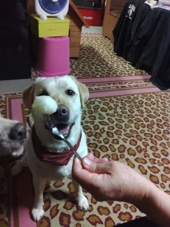 KIMG0413_02_BURST1000413.jpg KIMG0413_02_BURST1000413.jpg