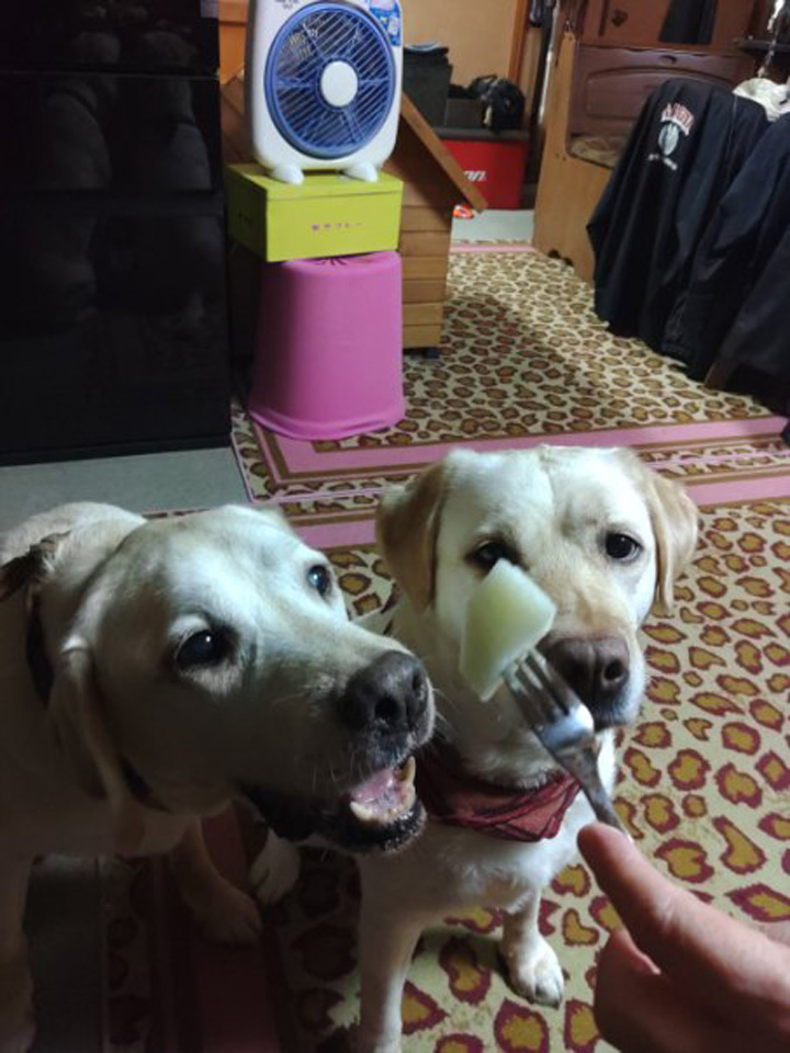 KIMG0416_02_BURST1000416.jpg KIMG0416_02_BURST1000416.jpg