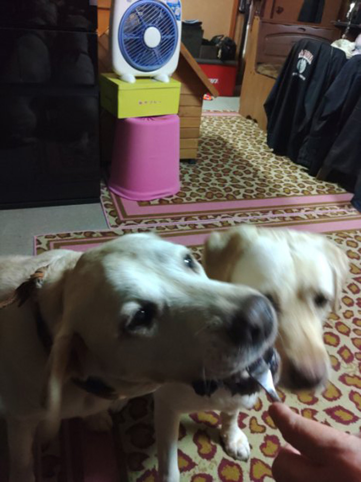 KIMG0417_02_BURST1000417.jpg KIMG0417_02_BURST1000417.jpg