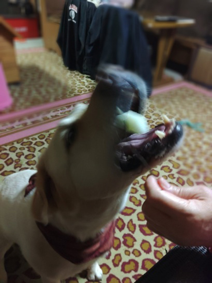 KIMG0418_01_BURST1000418_CO.jpg KIMG0418_01_BURST1000418_CO.jpg