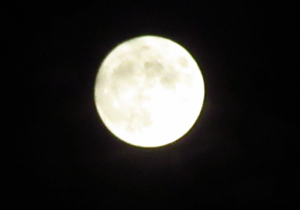 IMG_2237.jpg IMG_2237.jpg