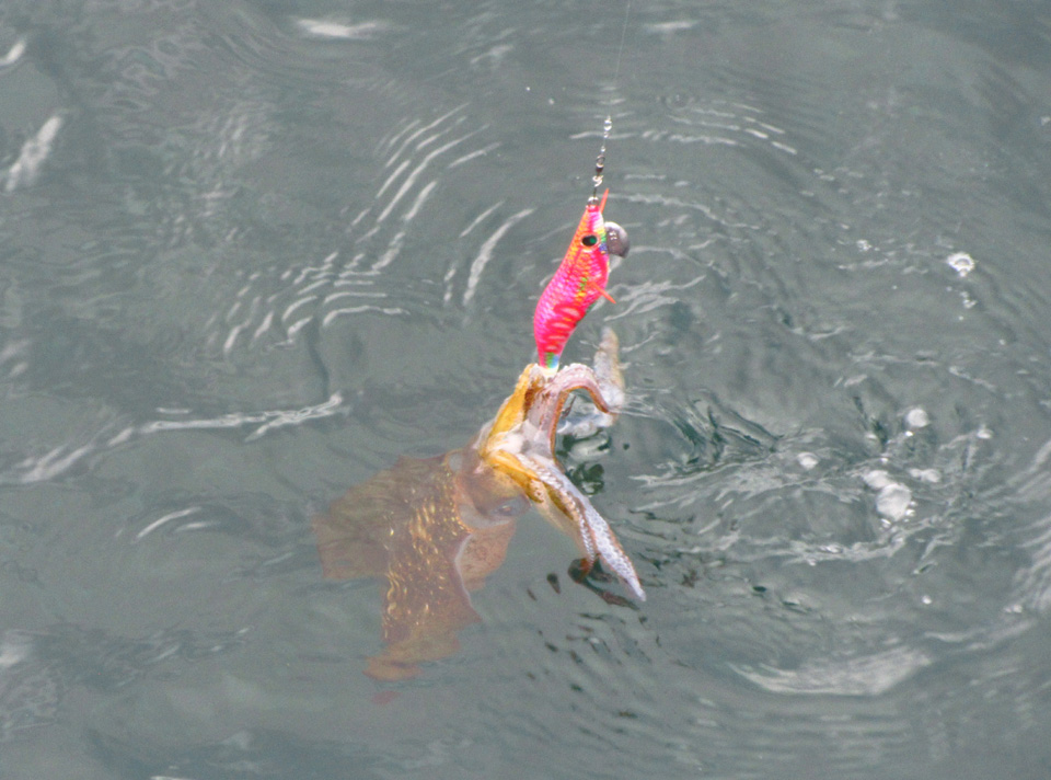 IMG_2287.jpg IMG_2287.jpg