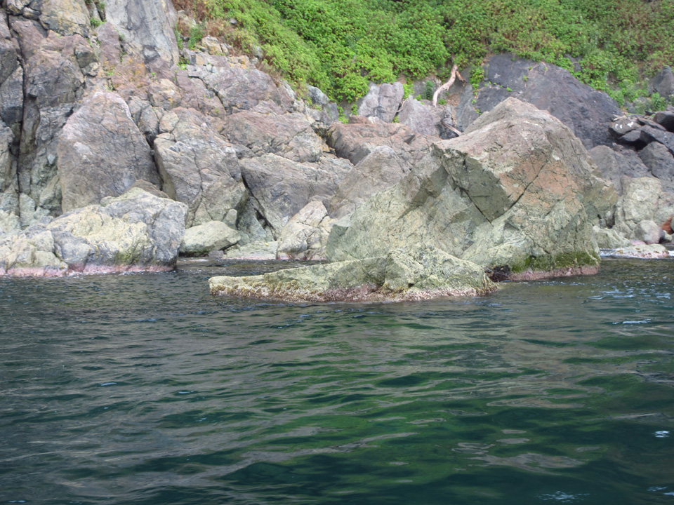 IMG_2291.jpg IMG_2291.jpg