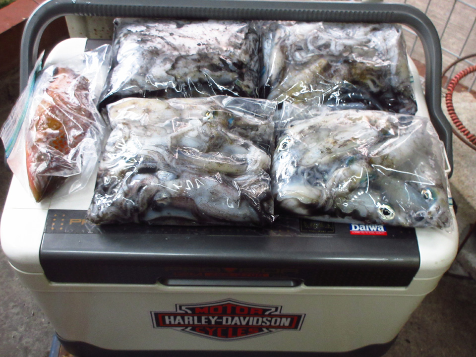 IMG_2294.jpg IMG_2294.jpg