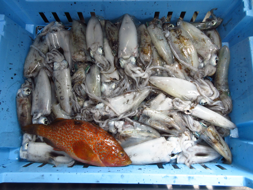 IMG_2296.jpg IMG_2296.jpg