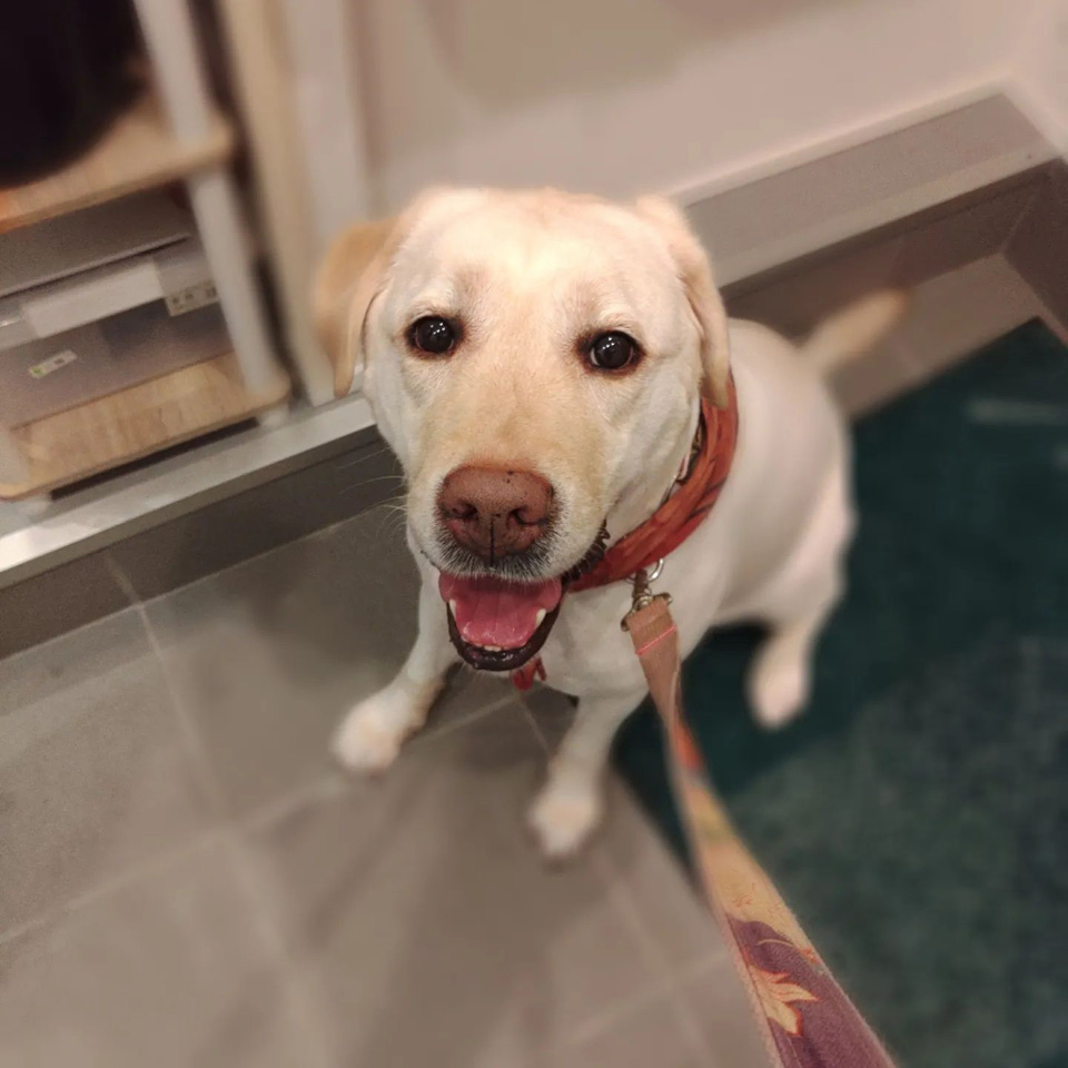 302712644_5259967137446911_.jpg 302712644_5259967137446911_.jpg