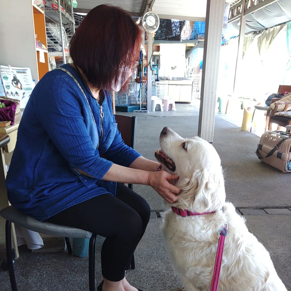 305577735_5259967127446912_.jpg 305577735_5259967127446912_.jpg