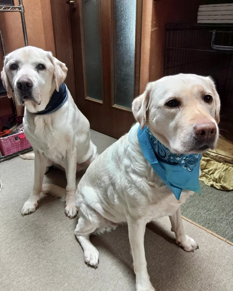 313281916_5402242983219325_.jpg 313281916_5402242983219325_.jpg