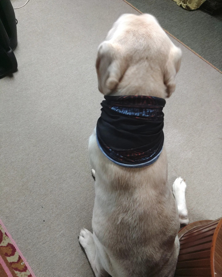 313304551_5402242986552658_.jpg 313304551_5402242986552658_.jpg