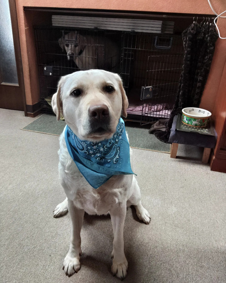 313314473_5402242973219326_.jpg 313314473_5402242973219326_.jpg