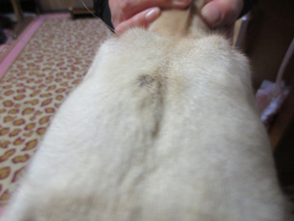 IMG_2472.jpg IMG_2472.jpg