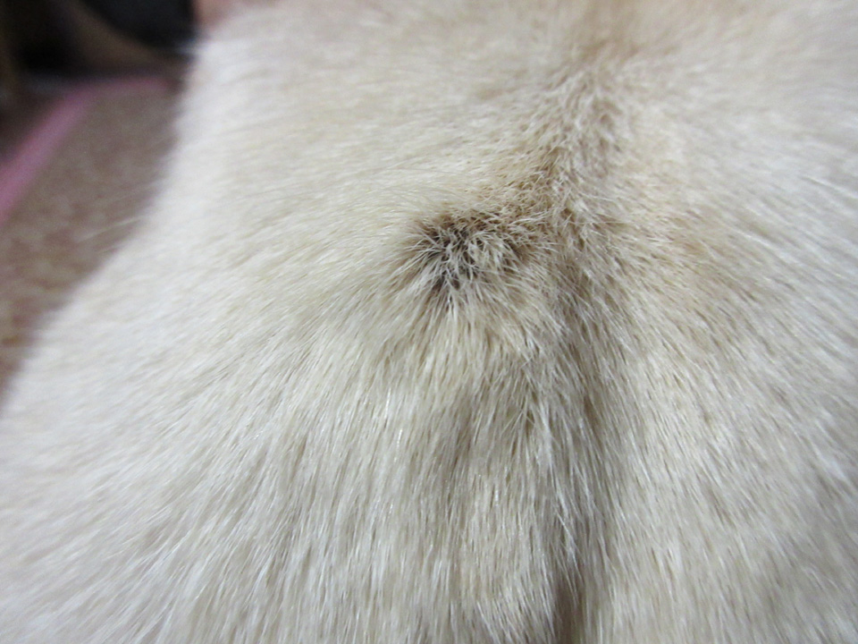 IMG_2473.jpg IMG_2473.jpg