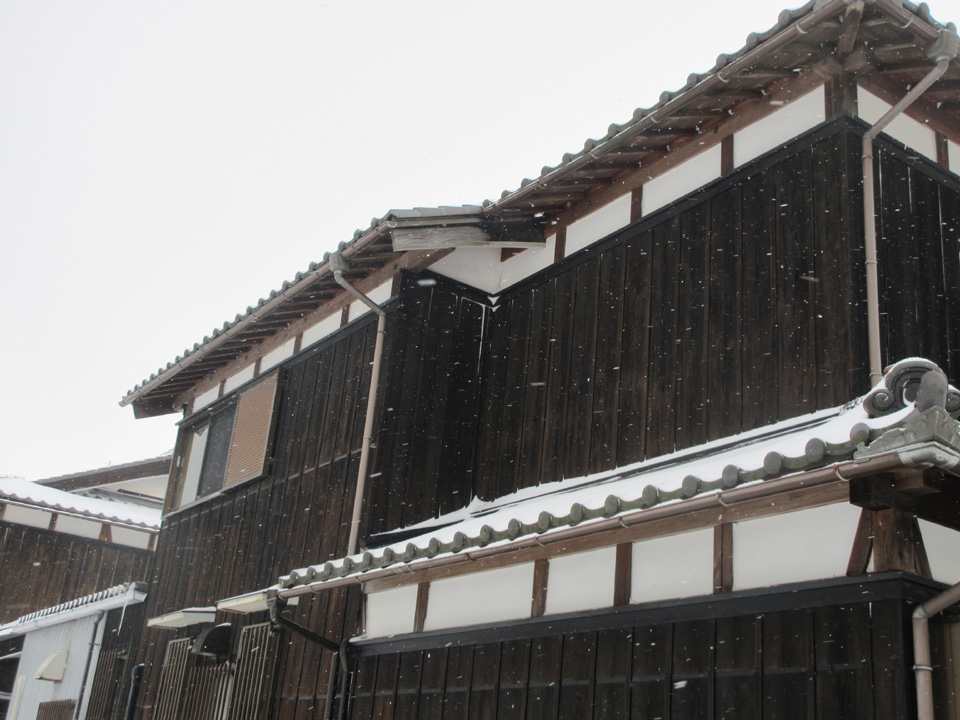 IMG_2489.jpg IMG_2489.jpg