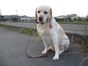 ファイル 1000-1.jpg