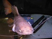 ファイル 1002-5.jpg