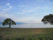 ファイル 1007-2.jpg