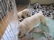 ファイル 1015-4.jpg