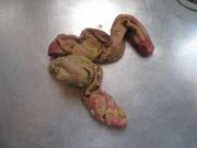 ファイル 1040-1.jpg