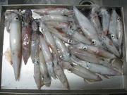 ファイル 1046-2.jpg