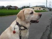 ファイル 1053-1.jpg