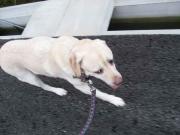 ファイル 1053-4.jpg