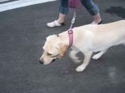 ファイル 1053-5.jpg