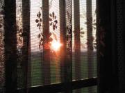 ファイル 1057-1.jpg