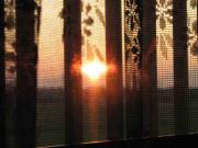 ファイル 1057-2.jpg