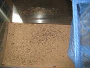 ファイル 1060-4.jpg