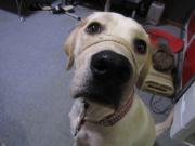 ファイル 1066-3.jpg