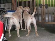 ファイル 1067-3.jpg