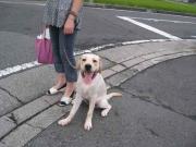 ファイル 1067-5.jpg