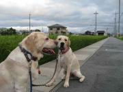 ファイル 1068-1.jpg