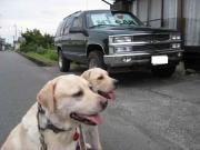 ファイル 1071-2.jpg