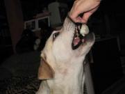 ファイル 1071-4.jpg