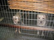 ファイル 1073-2.jpg