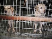 ファイル 1073-3.jpg