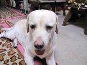 ファイル 1075-5.jpg