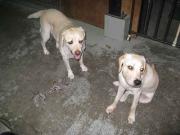 ファイル 1077-1.jpg