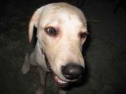 ファイル 1077-4.jpg