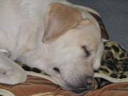 ファイル 1079-3.jpg