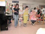 ファイル 1082-5.jpg