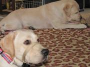 ファイル 1083-2.jpg