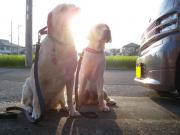 ファイル 1083-4.jpg